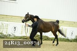24R13_00874 proof