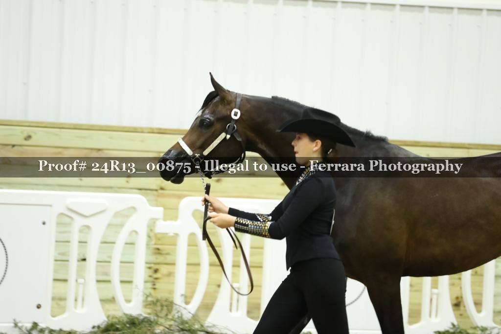Proof 24R13_00875