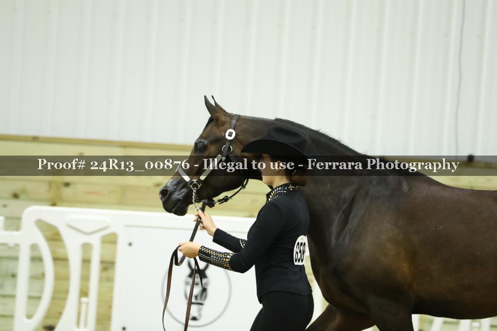 Proof 24R13_00876