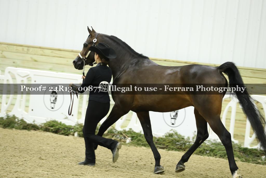 Proof 24R13_00877