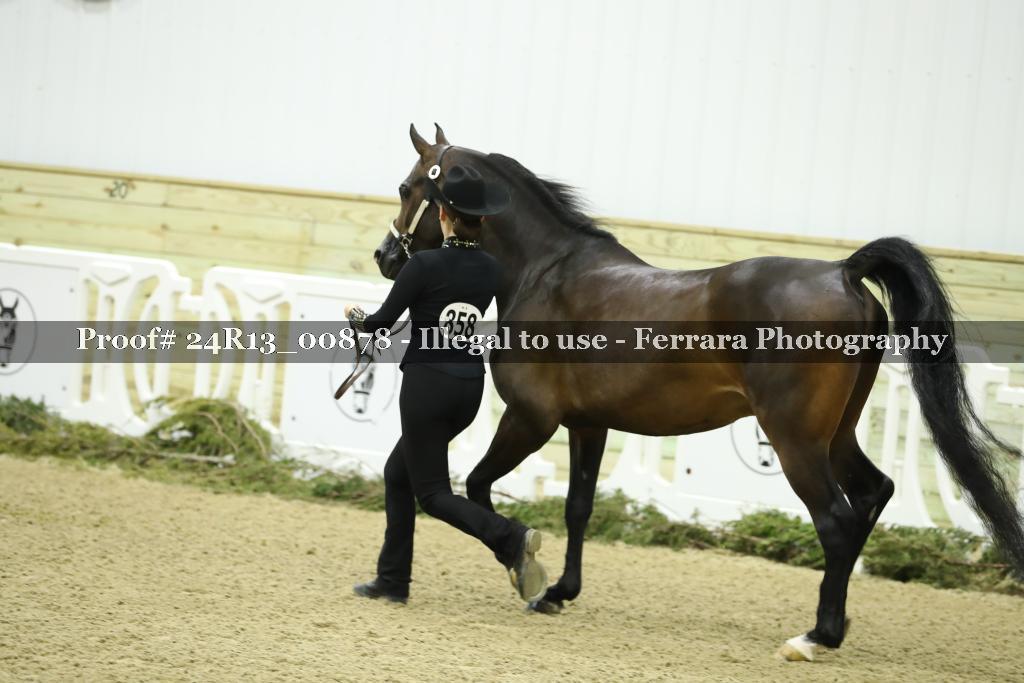 Proof 24R13_00878