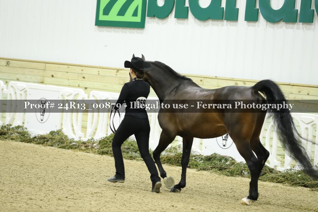 Proof 24R13_00879