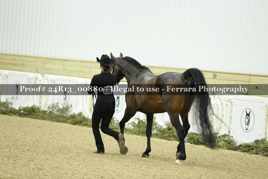 Proof 24R13_00880