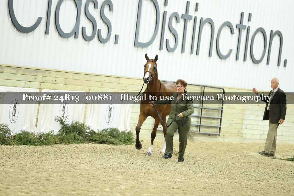 Proof 24R13_00881