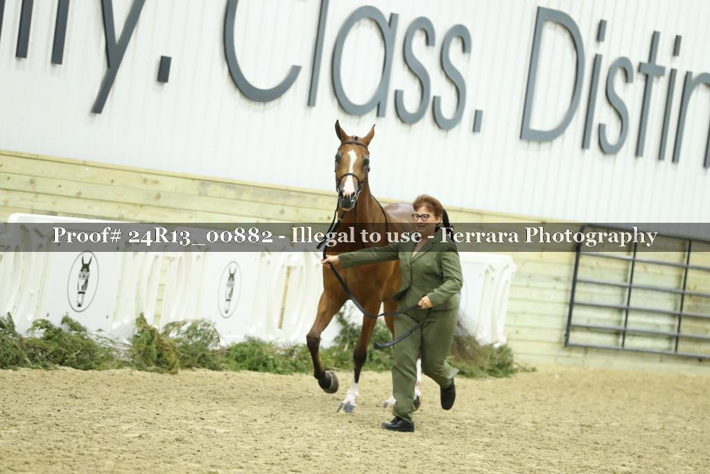Proof 24R13_00882