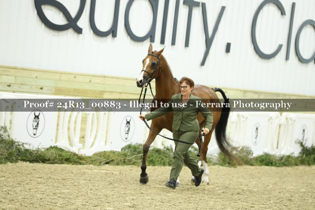 Proof 24R13_00883