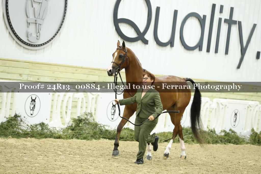 Proof 24R13_00884
