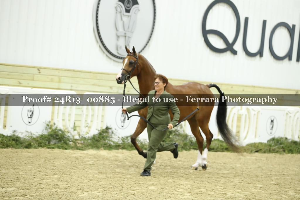 Proof 24R13_00885