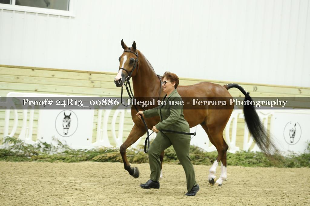 Proof 24R13_00886