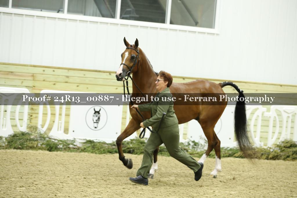 Proof 24R13_00887