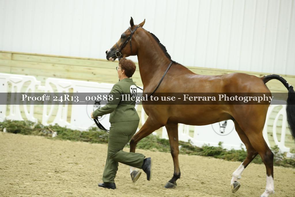 Proof 24R13_00888
