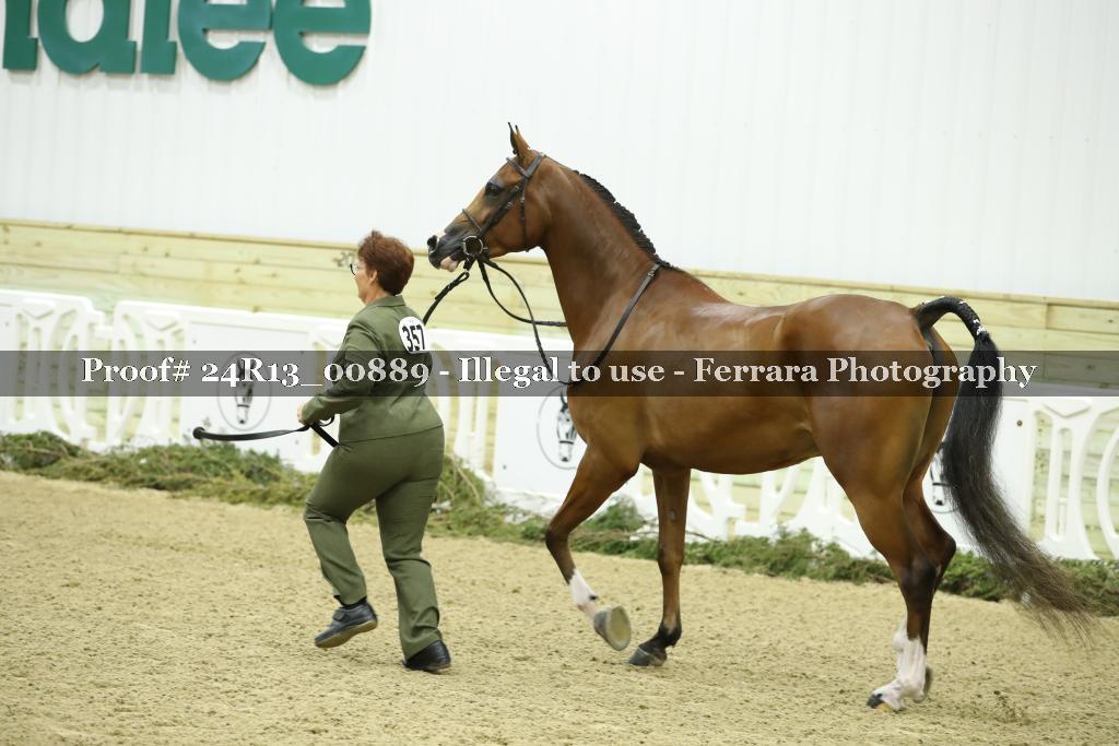 Proof 24R13_00889
