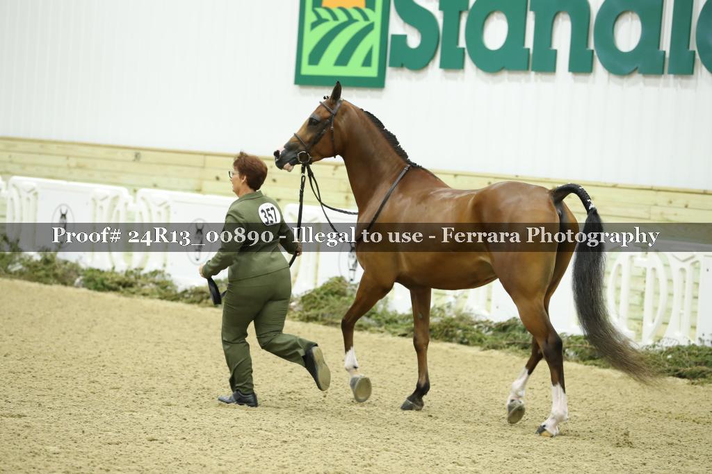 Proof 24R13_00890