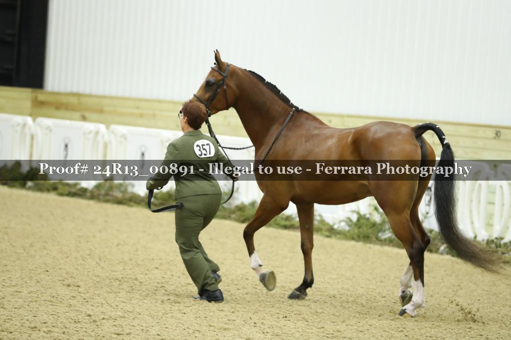 Proof 24R13_00891