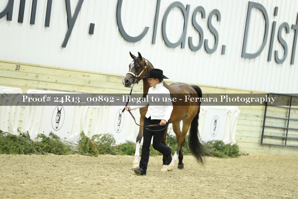 Proof 24R13_00892