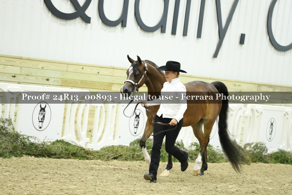 Proof 24R13_00893