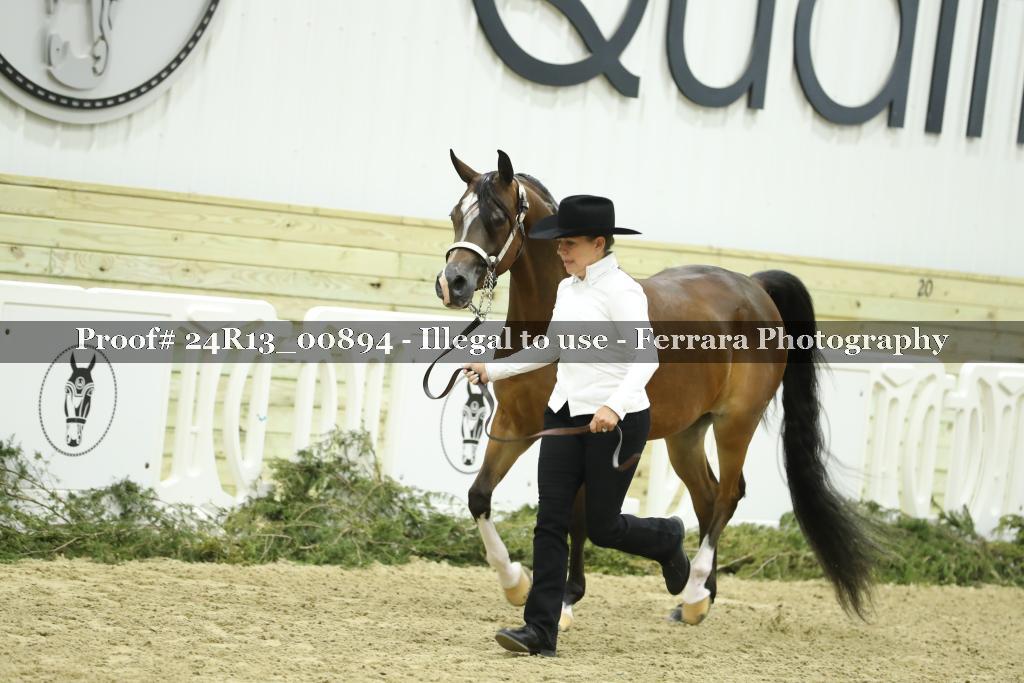 Proof 24R13_00894