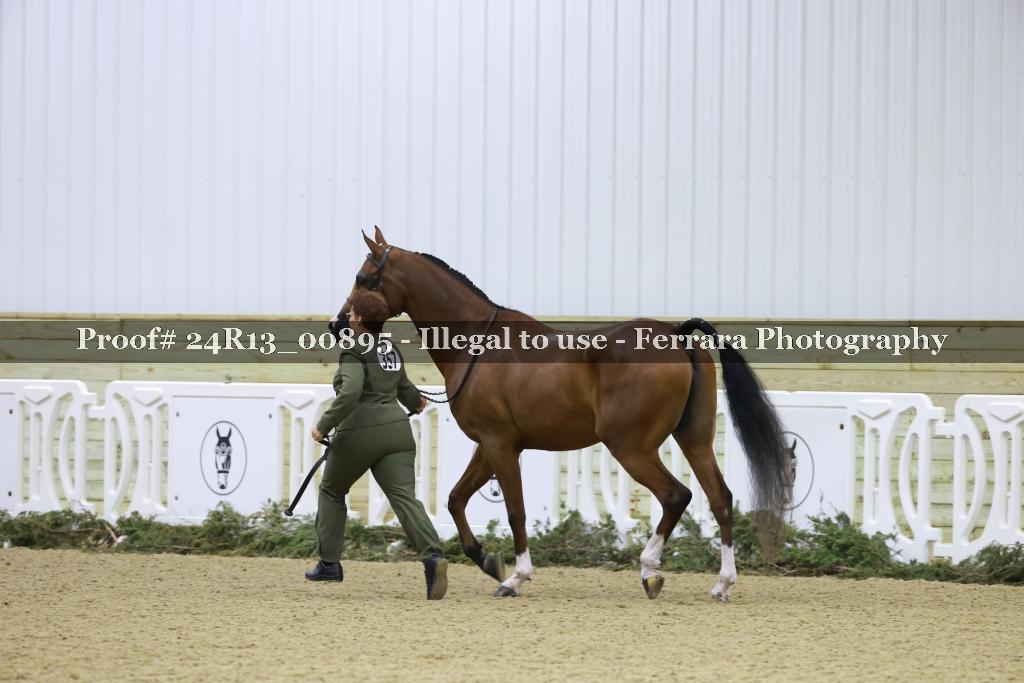 Proof 24R13_00895