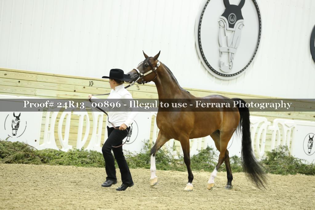 Proof 24R13_00896