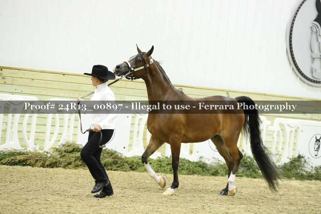Proof 24R13_00897