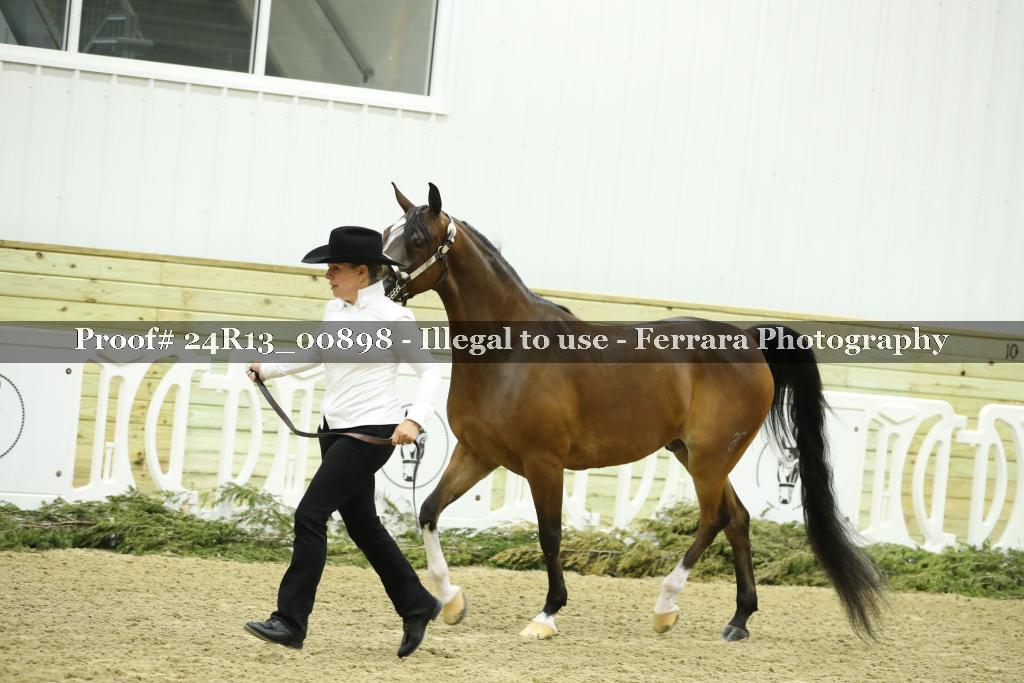 Proof 24R13_00898