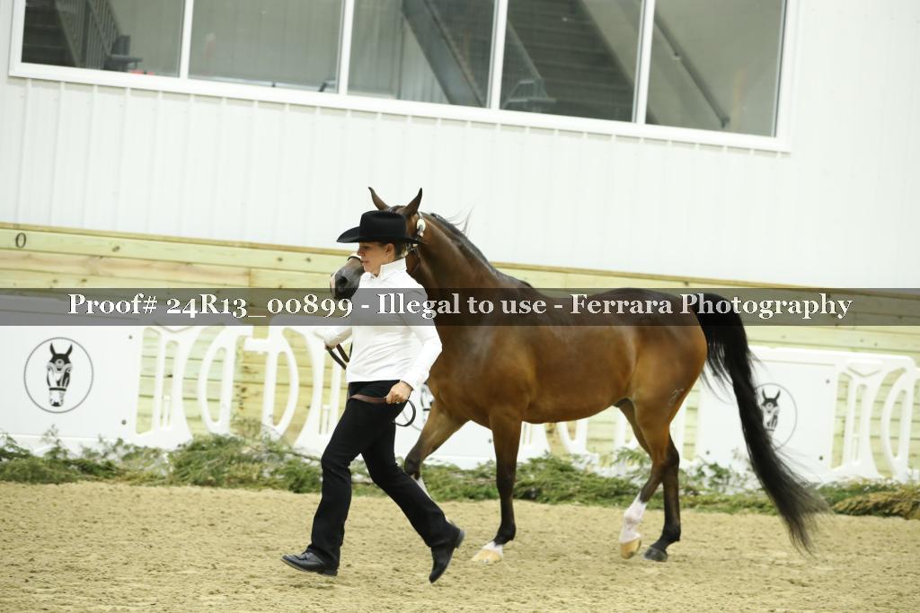 Proof 24R13_00899