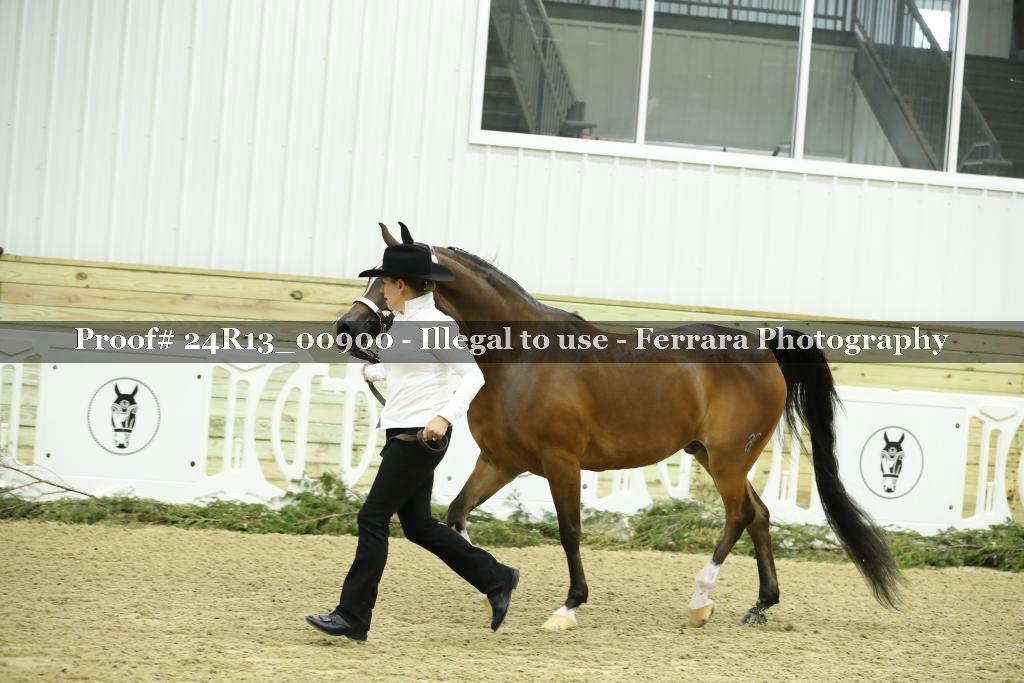 Proof 24R13_00900