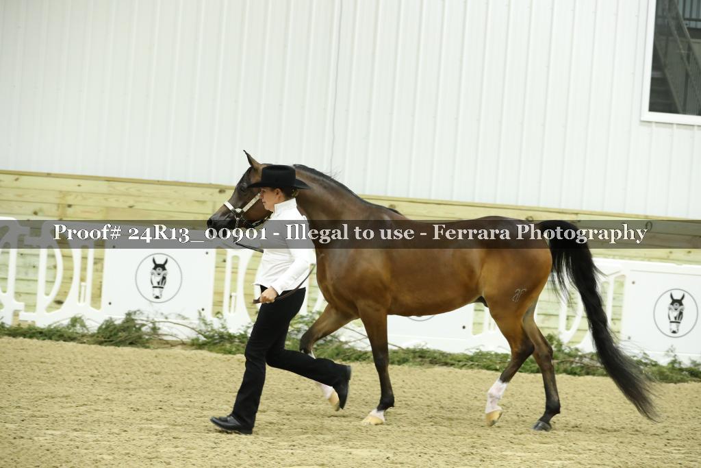 Proof 24R13_00901