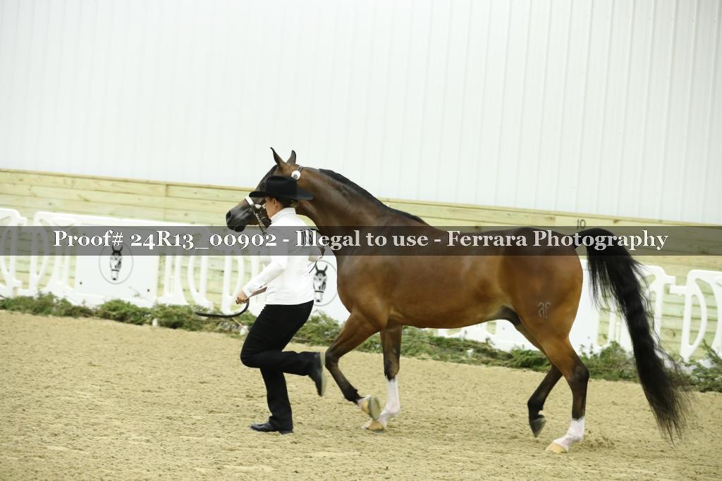 Proof 24R13_00902