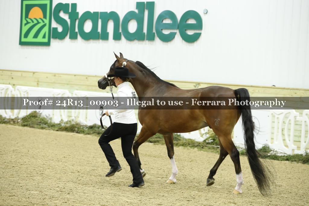 Proof 24R13_00903
