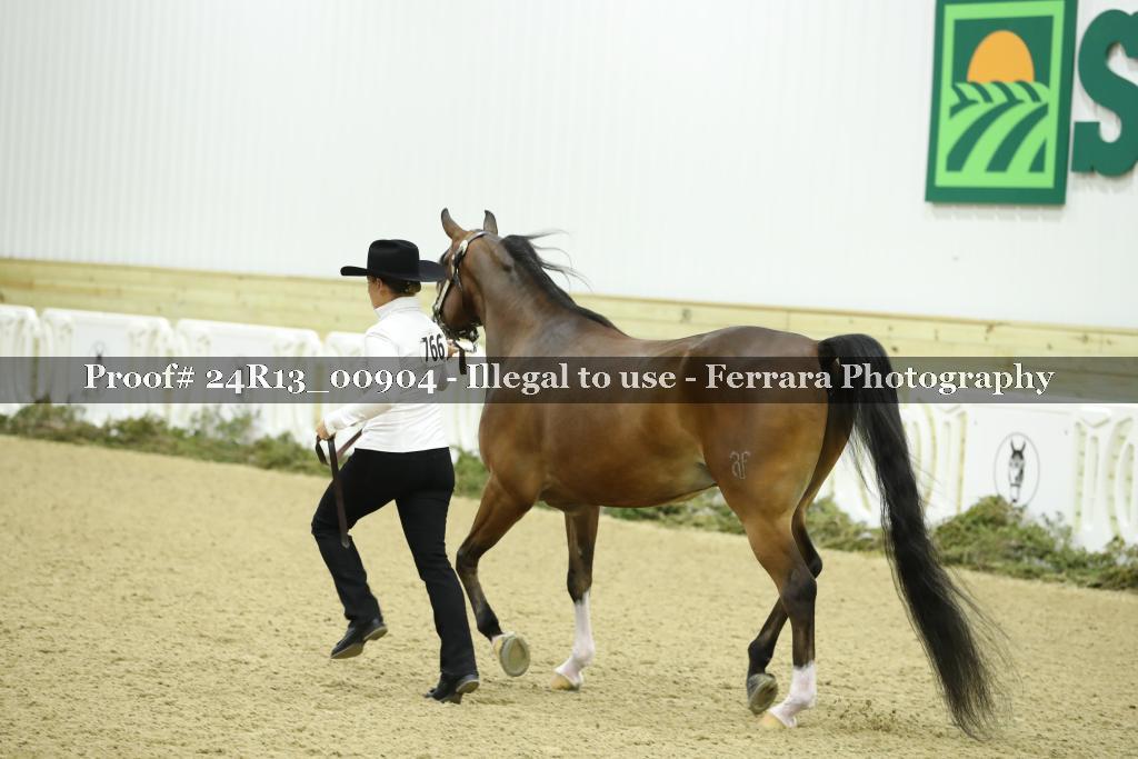 Proof 24R13_00904