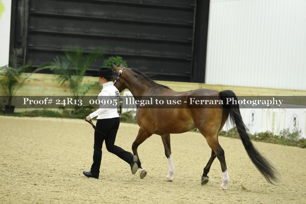 Proof 24R13_00905