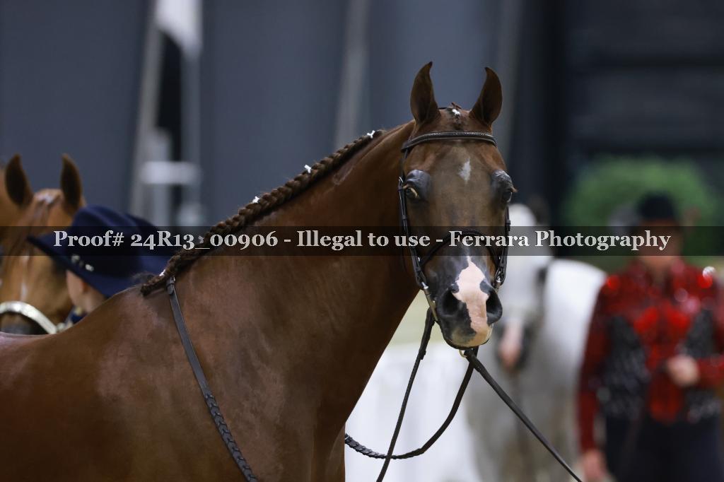 Proof 24R13_00906