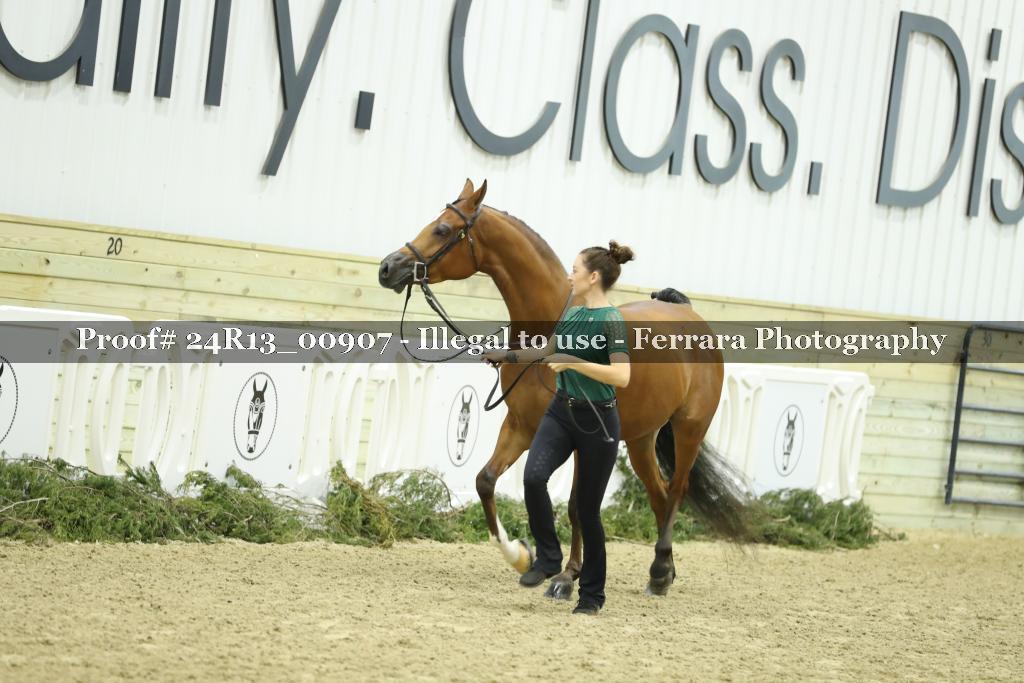 Proof 24R13_00907