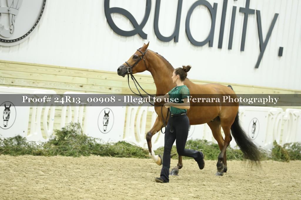 Proof 24R13_00908