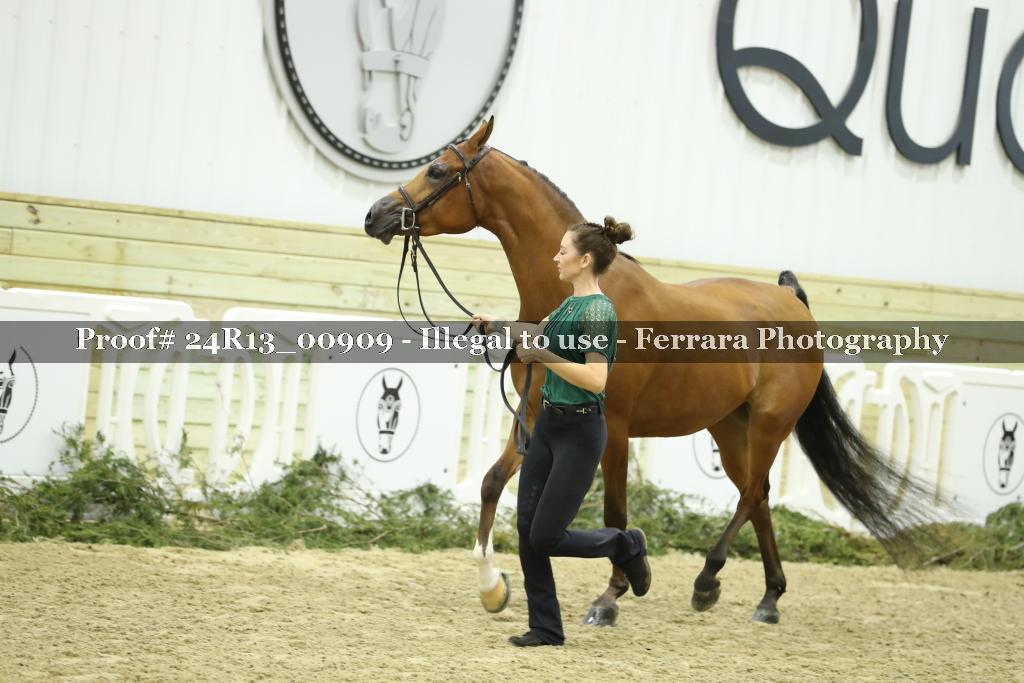 Proof 24R13_00909