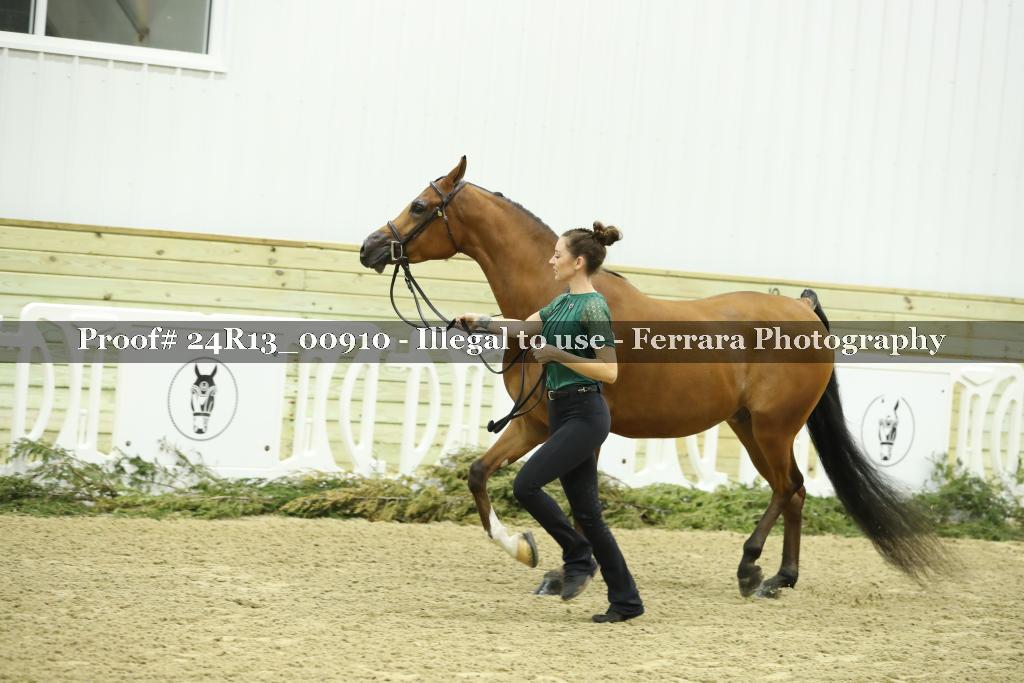 Proof 24R13_00910