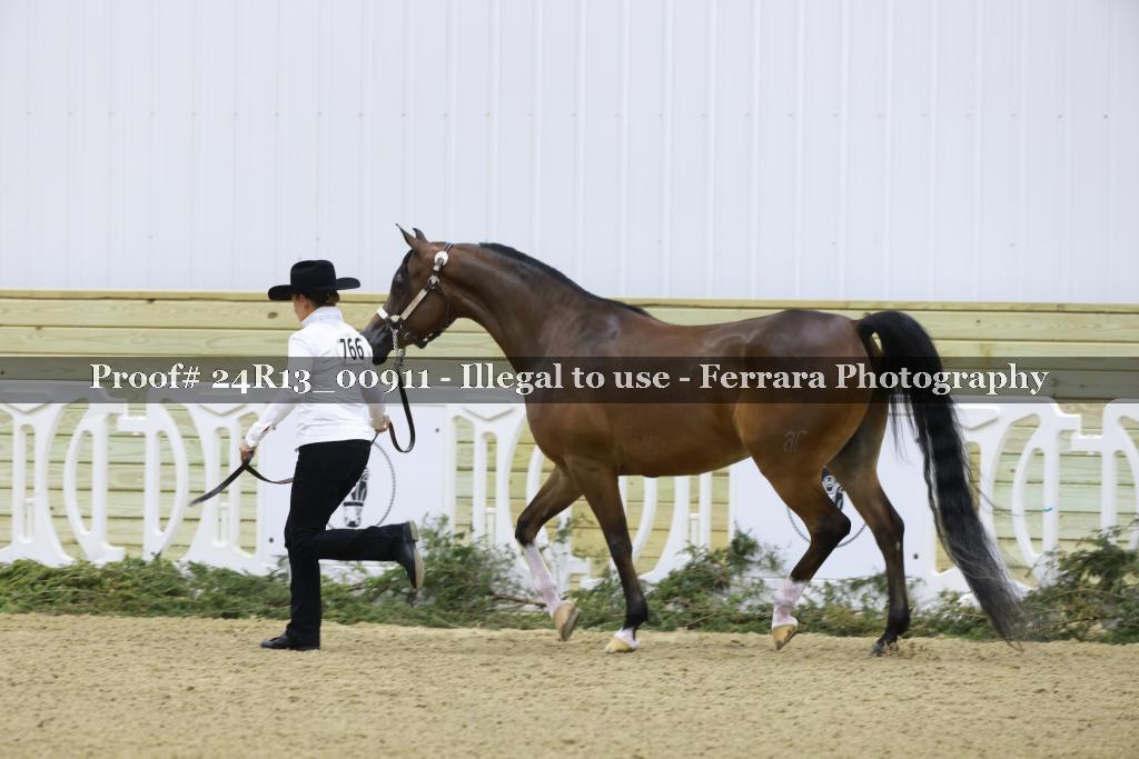 Proof 24R13_00911