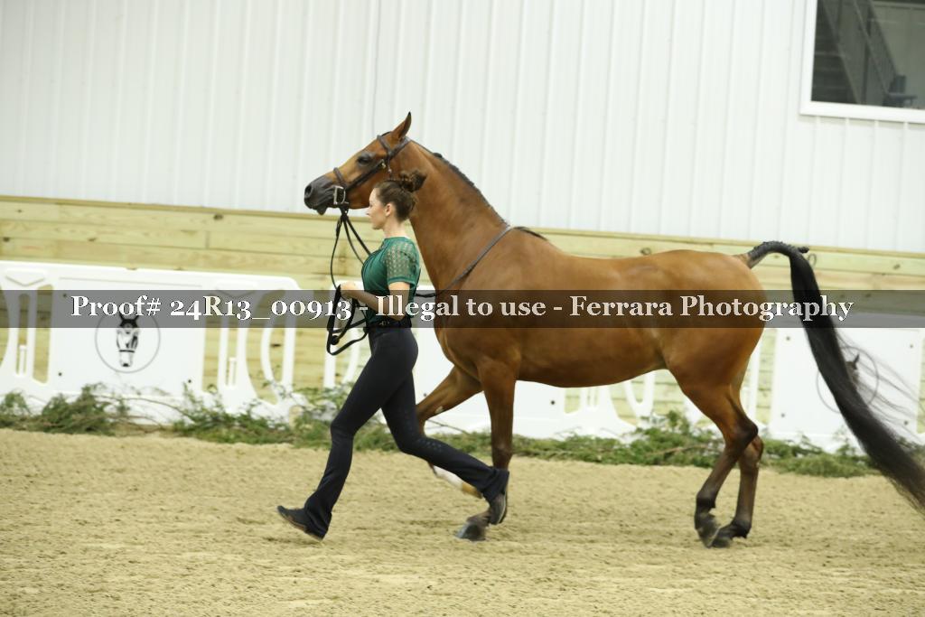 Proof 24R13_00913