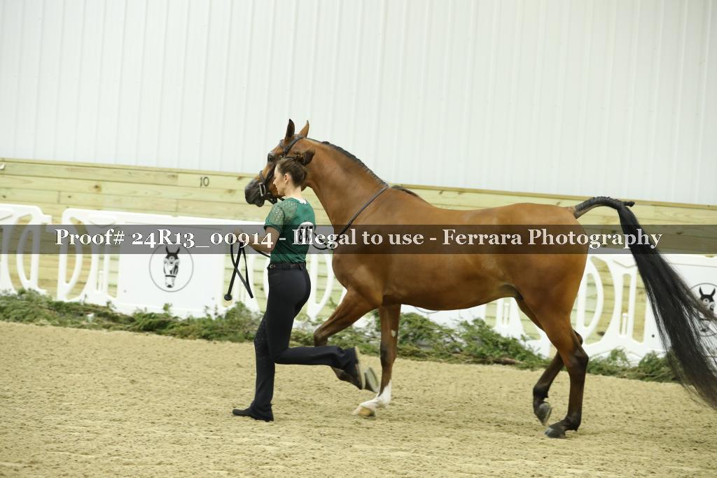 Proof 24R13_00914