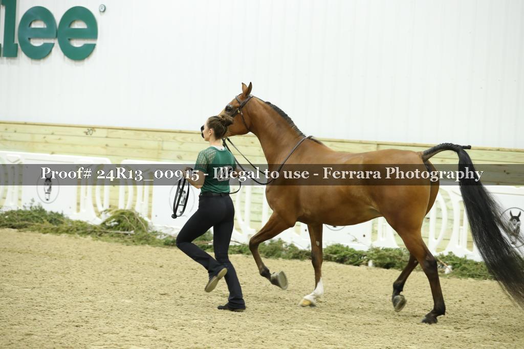 Proof 24R13_00915