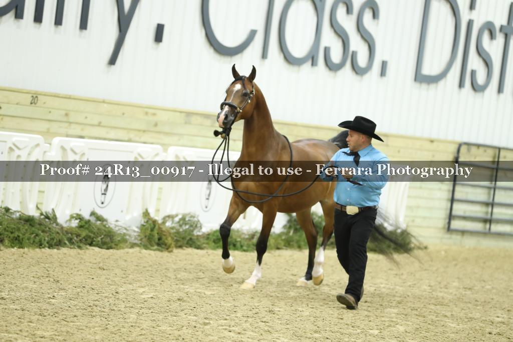 Proof 24R13_00917