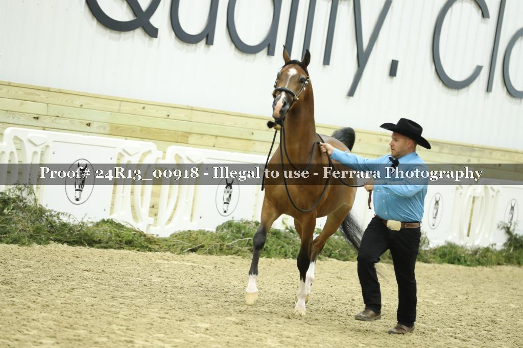 Proof 24R13_00918