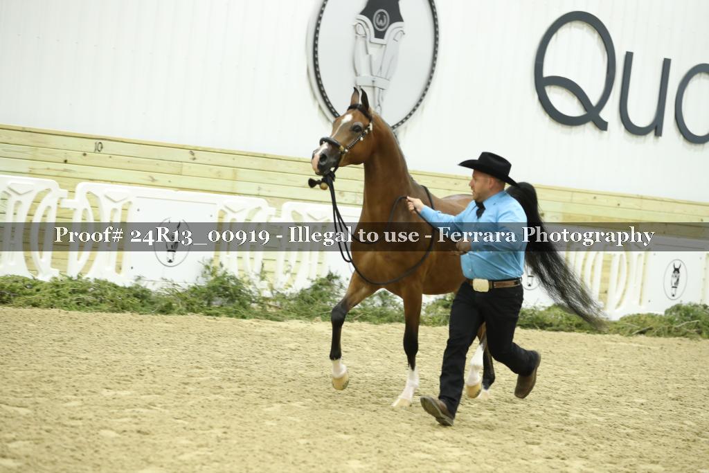 Proof 24R13_00919