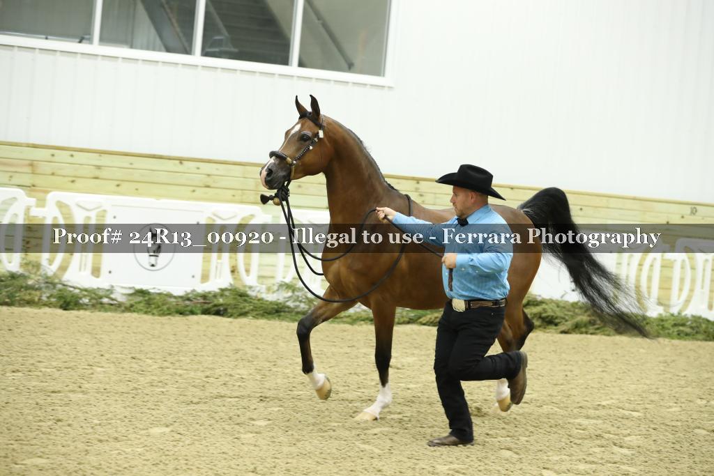 Proof 24R13_00920