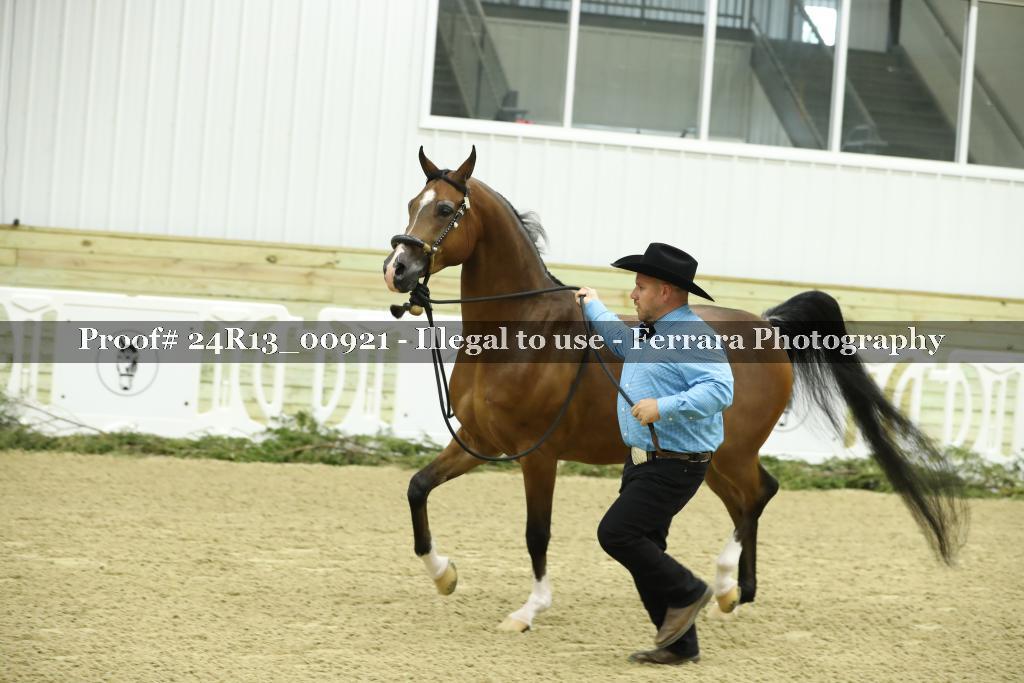 Proof 24R13_00921