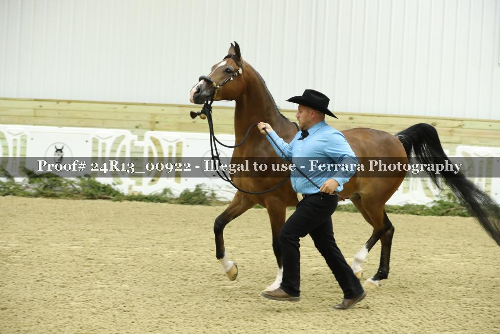 Proof 24R13_00922