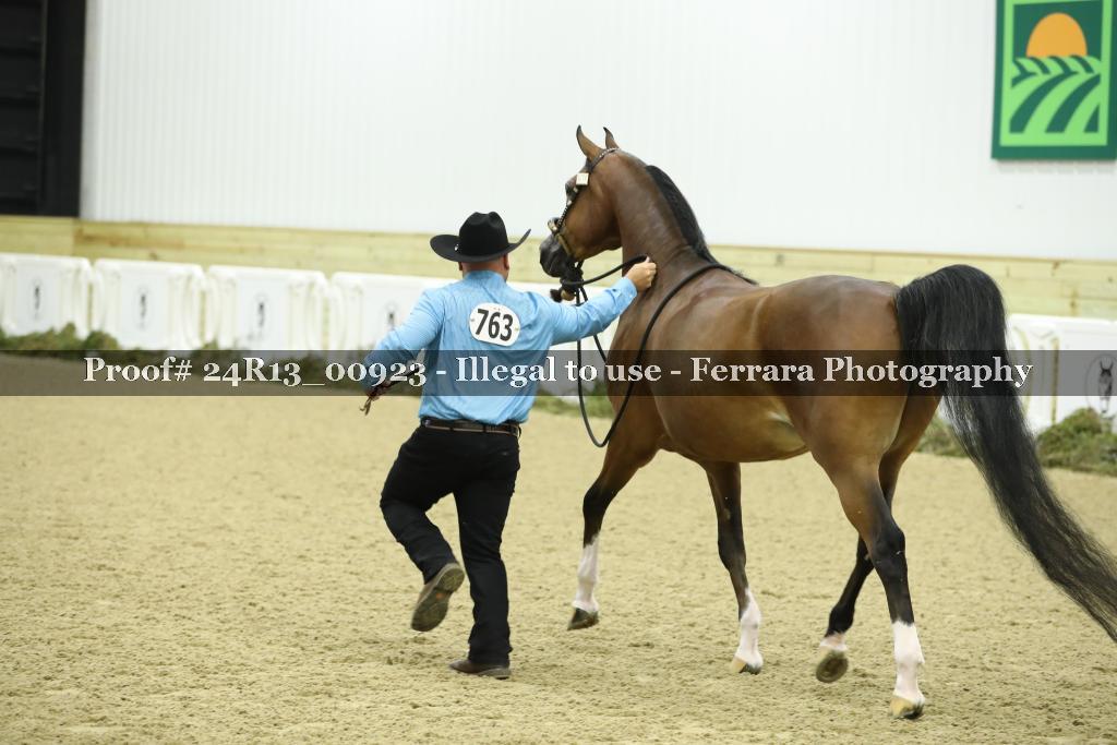 Proof 24R13_00923