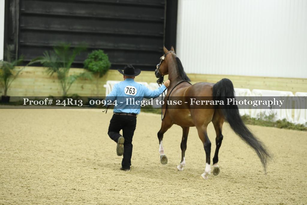 Proof 24R13_00924
