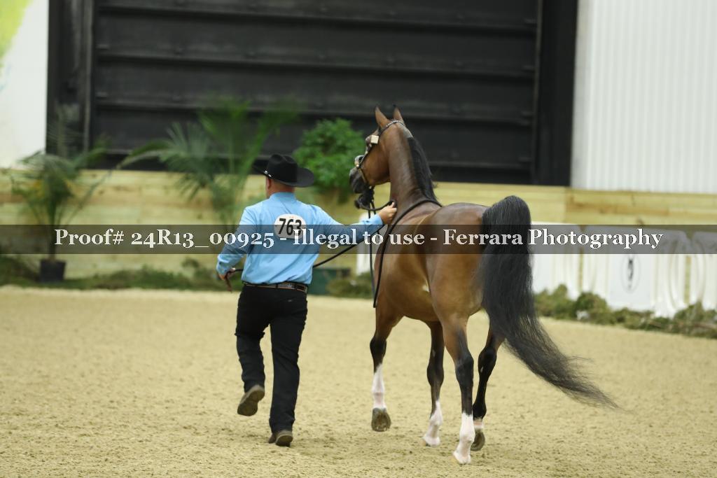 Proof 24R13_00925